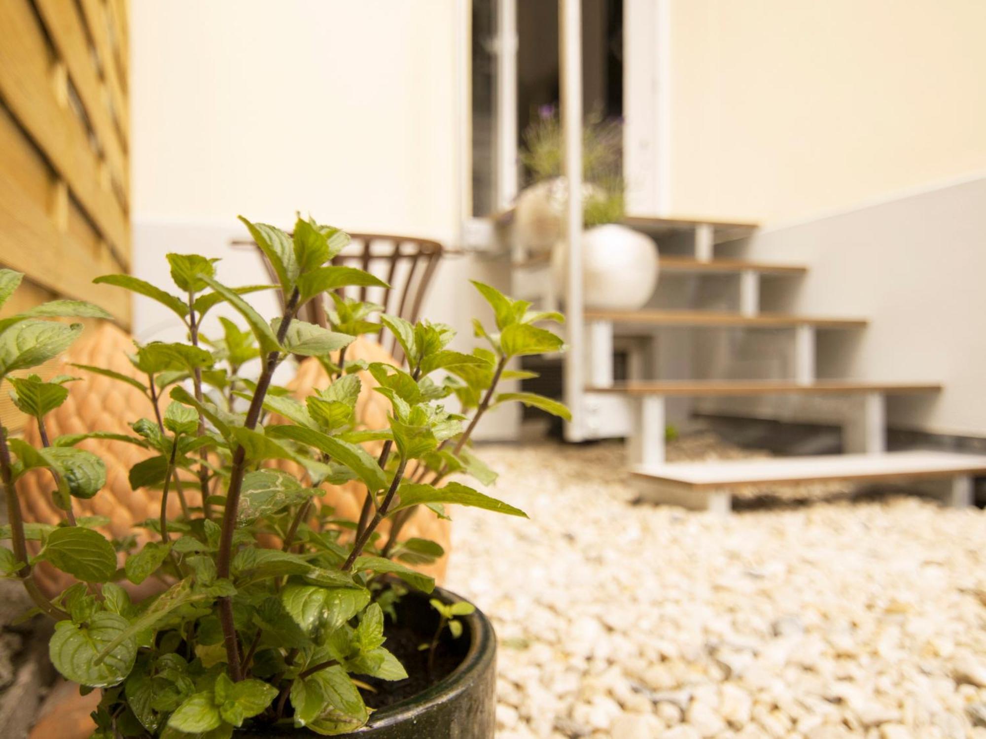 Bauhaus Design-Luxus Apartment, 20Er Jahre Stil, Garten เกรา ภายนอก รูปภาพ